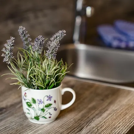 Easyapartments Leo Apartment Linz