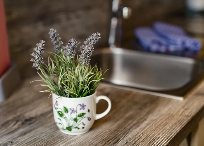 Easyapartments Leo דירה לינץ