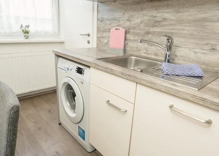 Easyapartments Leo * לינץ